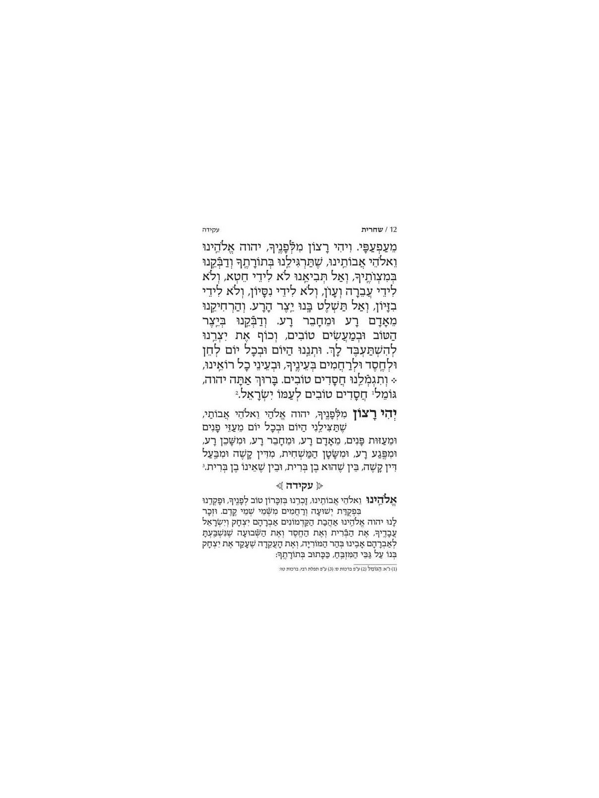 Yitzchak Yair Weekday Only Siddur: Ashkenaz Large  | Books | Judaica