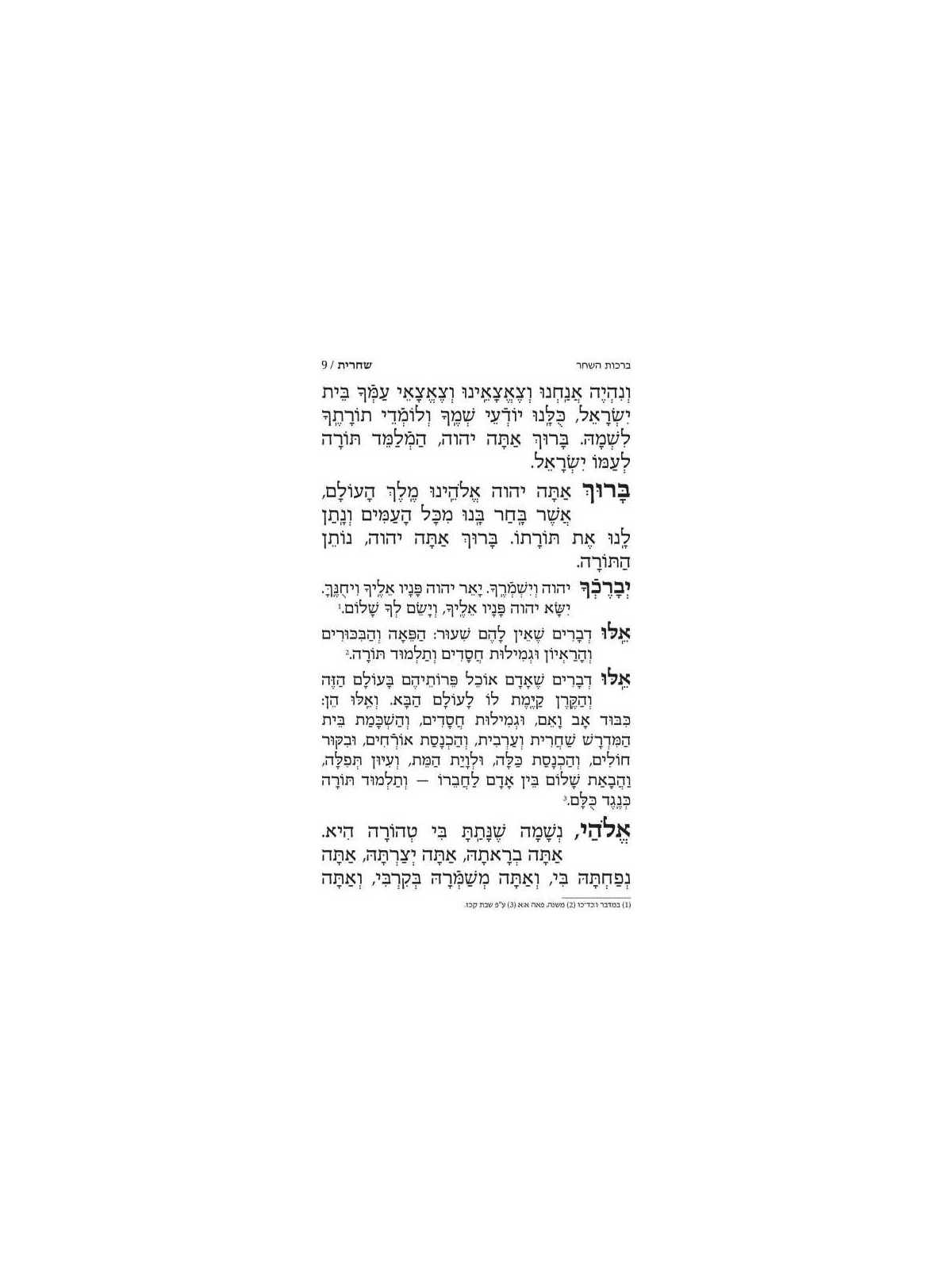 Yitzchak Yair Weekday Only Siddur: Ashkenaz Large  | Books | Judaica