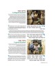 Spanish Illustrated Haggadah - Paperback | Passover | Judaica