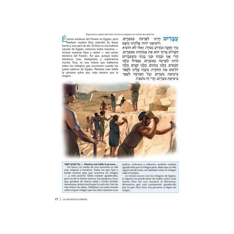Spanish Illustrated Haggadah - Paperback | Passover | Judaica