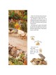 Stories From Our Sages | Books | Judaica