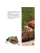 Stories From Our Sages | Books | Judaica