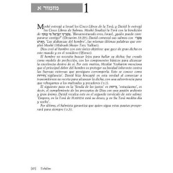 Spanish Tehillim Vol. 1 | Books | Judaica