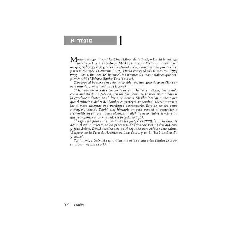 Spanish Tehillim Vol. 1 | Books | Judaica