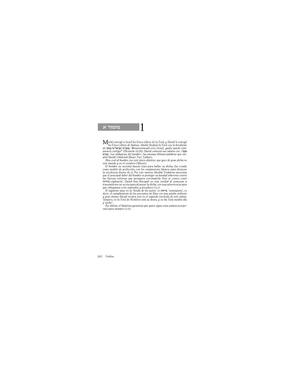 Spanish Tehillim Vol. 1 | Books | Judaica