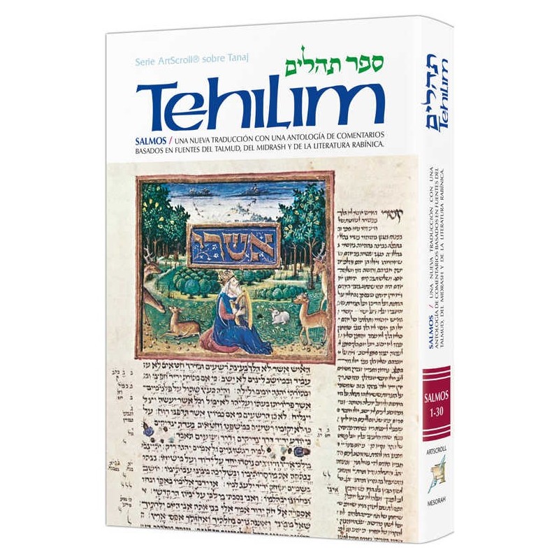Spanish Tehillim Vol. 1 | Books | Judaica