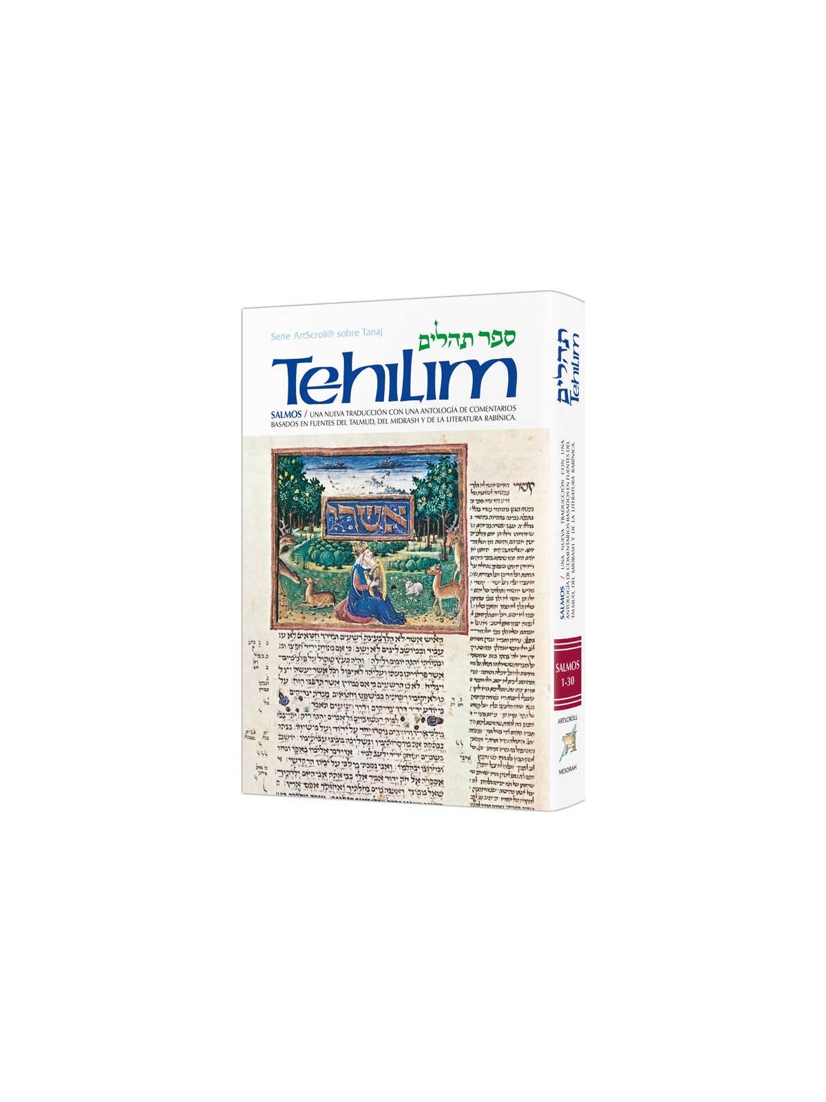 Spanish Tehillim Vol. 1 | Books | Judaica
