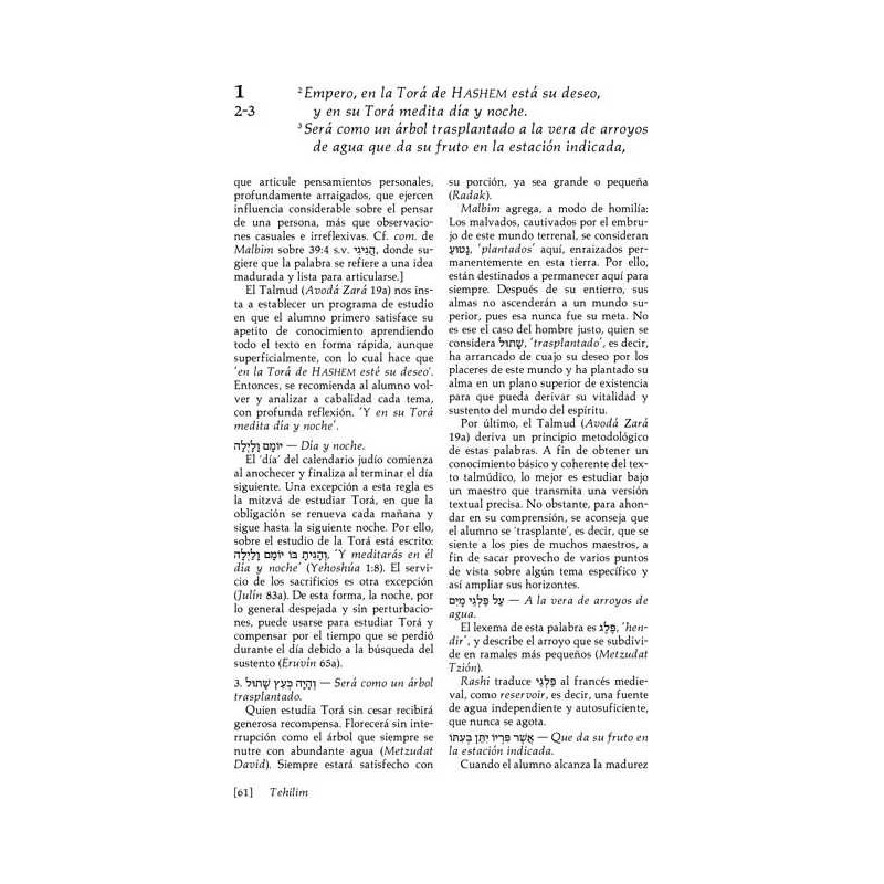 Spanish Tehillim Vol. 1 | Books | Judaica