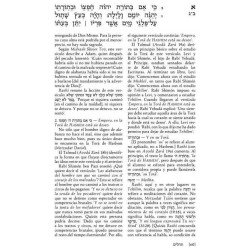 Spanish Tehillim Vol. 1 | Books | Judaica