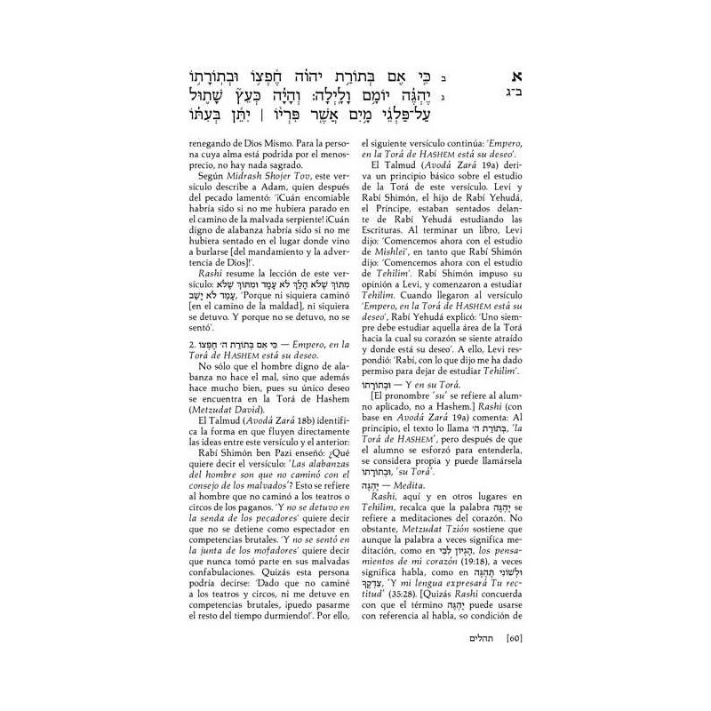 Spanish Tehillim Vol. 1 | Books | Judaica