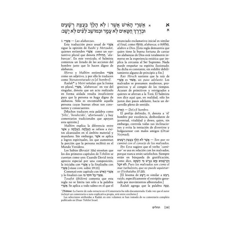 Spanish Tehillim Vol. 1 | Books | Judaica