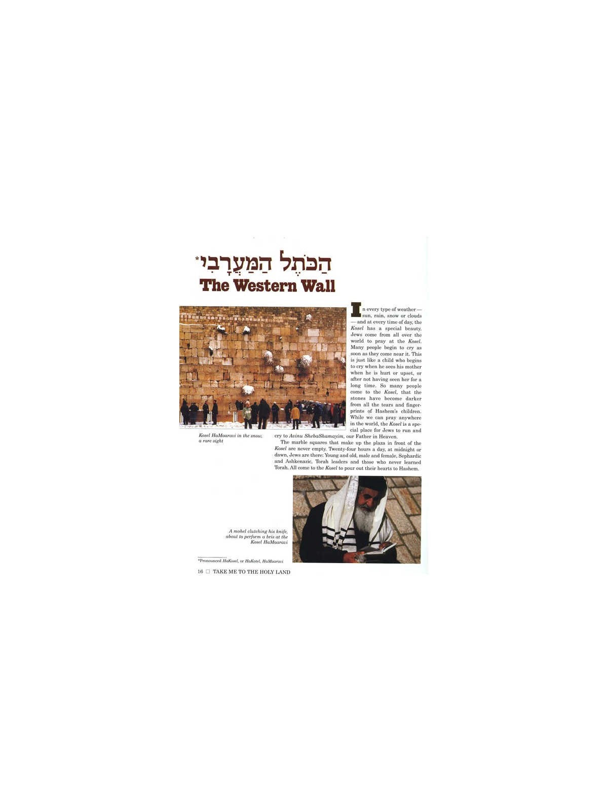 Take Me to the Holy Land - Hardcover | Books | Judaica