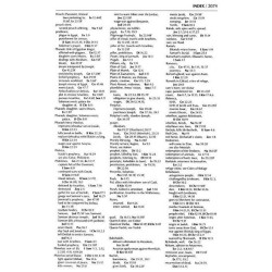 Stone Edition Tanach - Full Size Edition - Maroon  | Books | Judaica