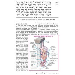 Yad Avraham Mishnah Series:34 Tractates Tamid/Midd | Books | Judaica