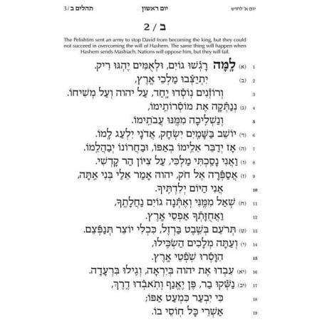 Tehillim Hebrew Only - Chinuch Rinas Eliyahu | Books | Judaica