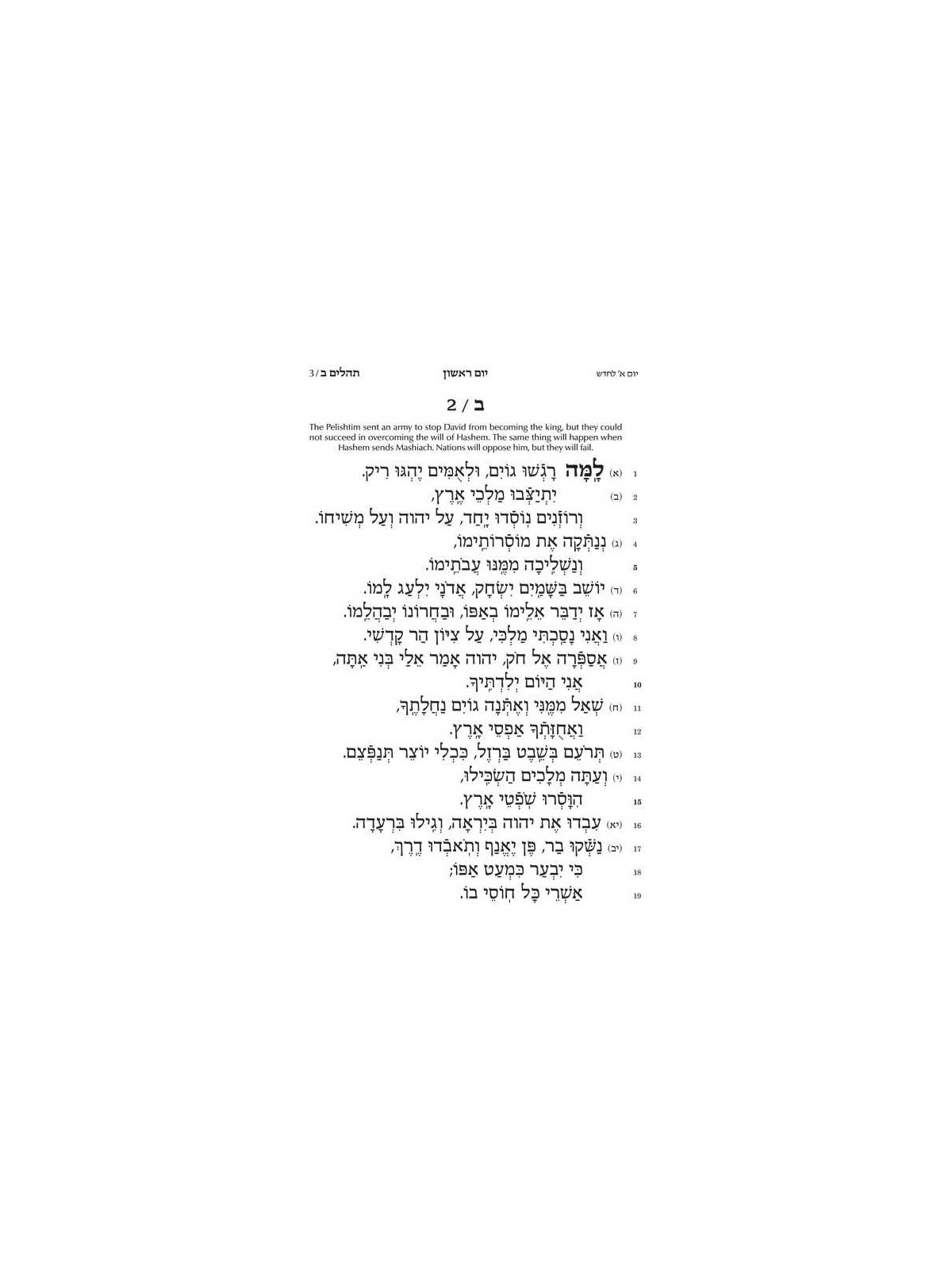 Tehillim Hebrew Only - Chinuch Rinas Eliyahu | Books | Judaica