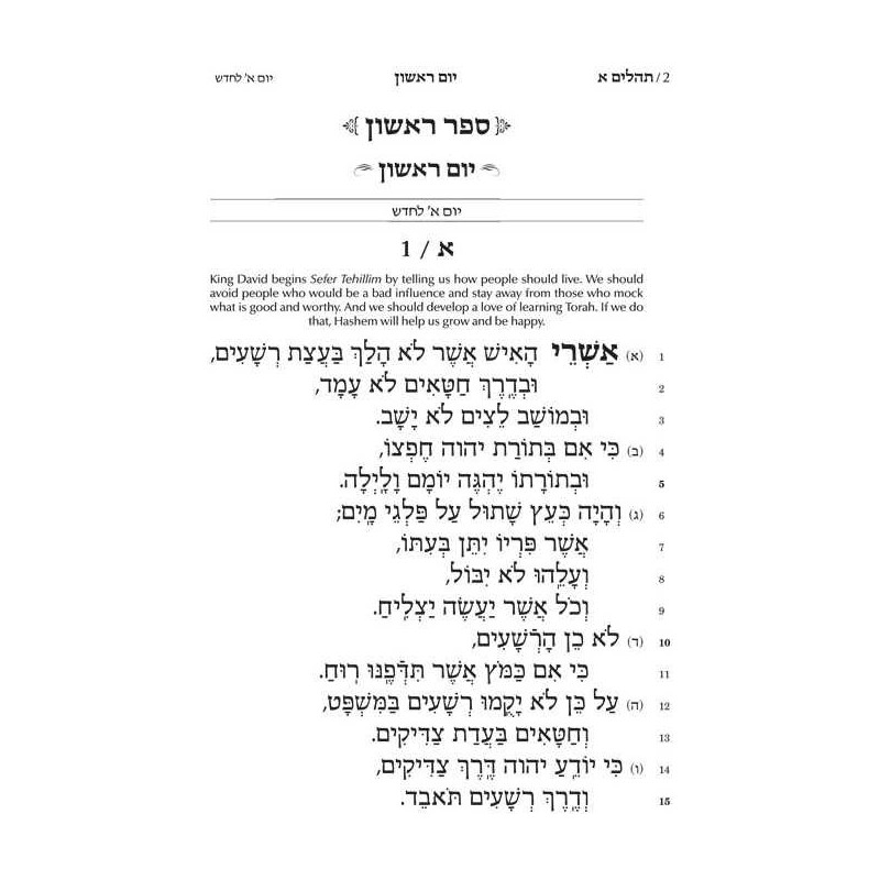 Tehillim Hebrew Only - Chinuch Rinas Eliyahu | Books | Judaica
