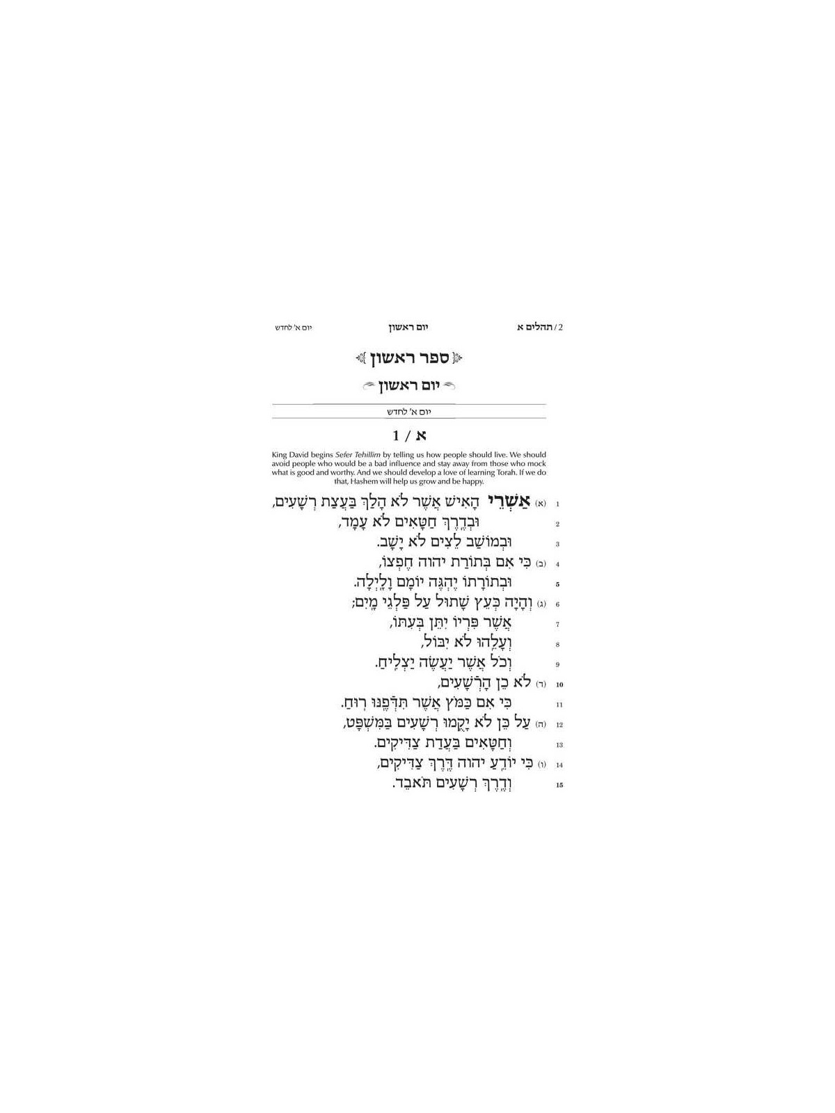Tehillim Hebrew Only - Chinuch Rinas Eliyahu | Books | Judaica