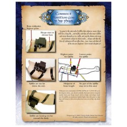 The Bar Mitzvah Treasury | Books | Judaica