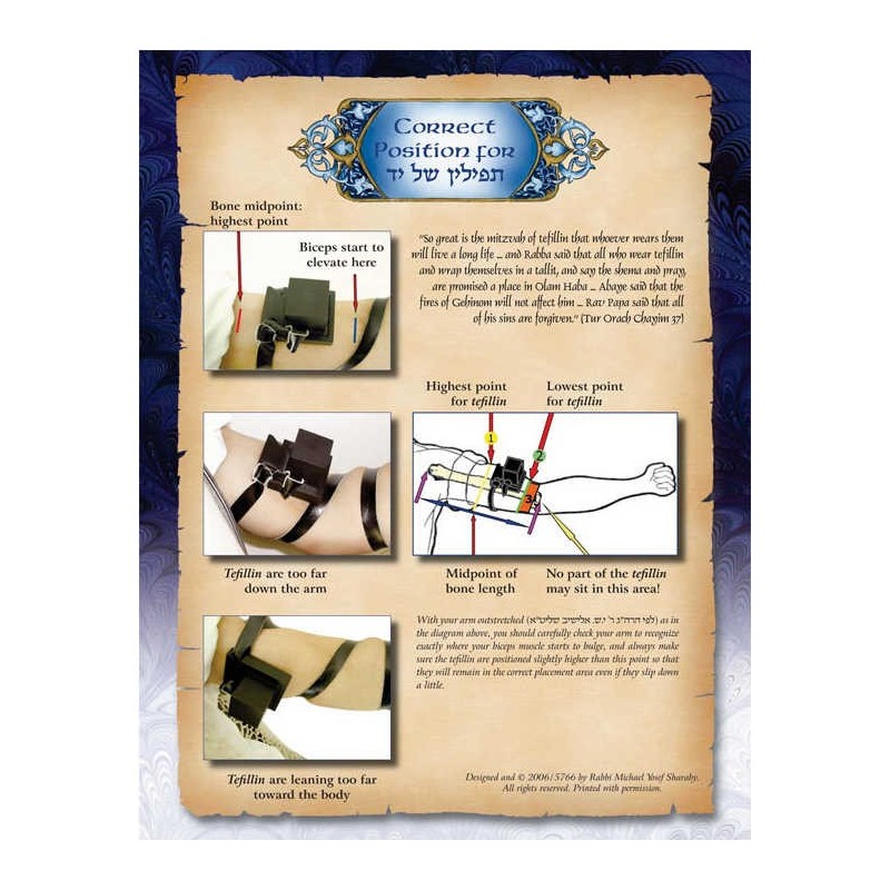 The Bar Mitzvah Treasury | Books | Judaica