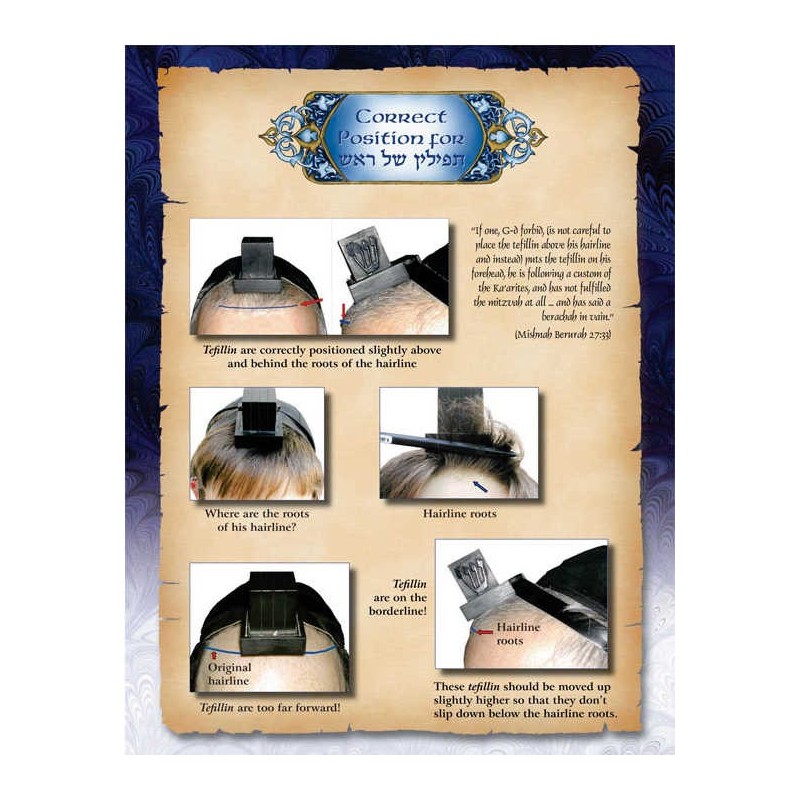 The Bar Mitzvah Treasury | Books | Judaica