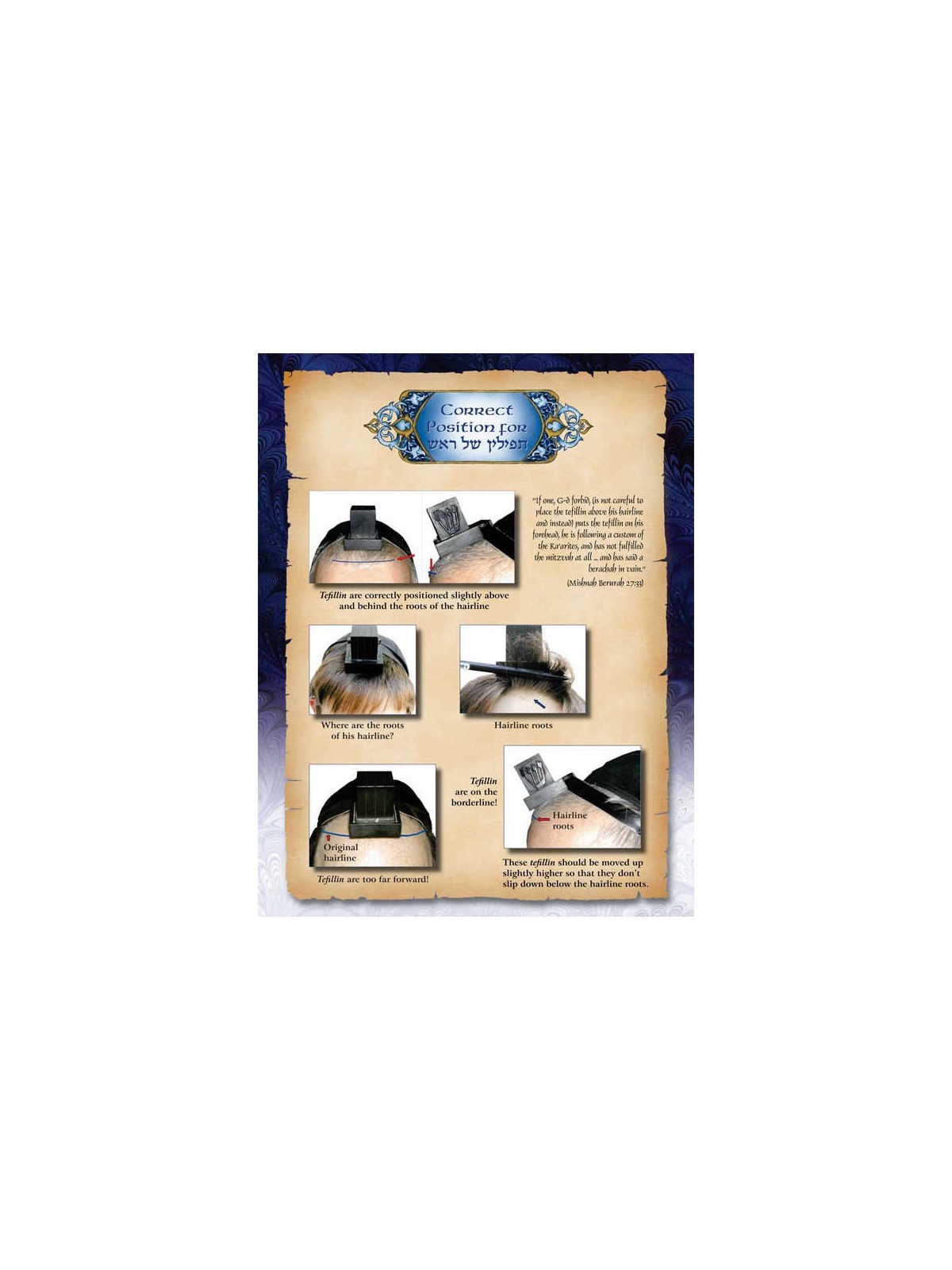 The Bar Mitzvah Treasury | Books | Judaica
