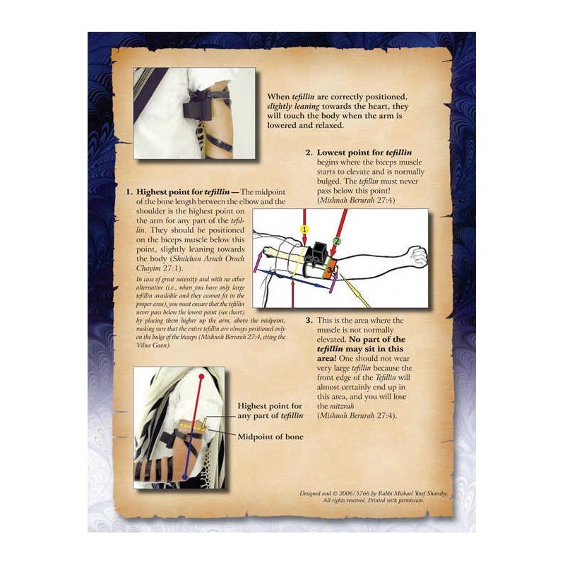 The Bar Mitzvah Treasury | Books | Judaica