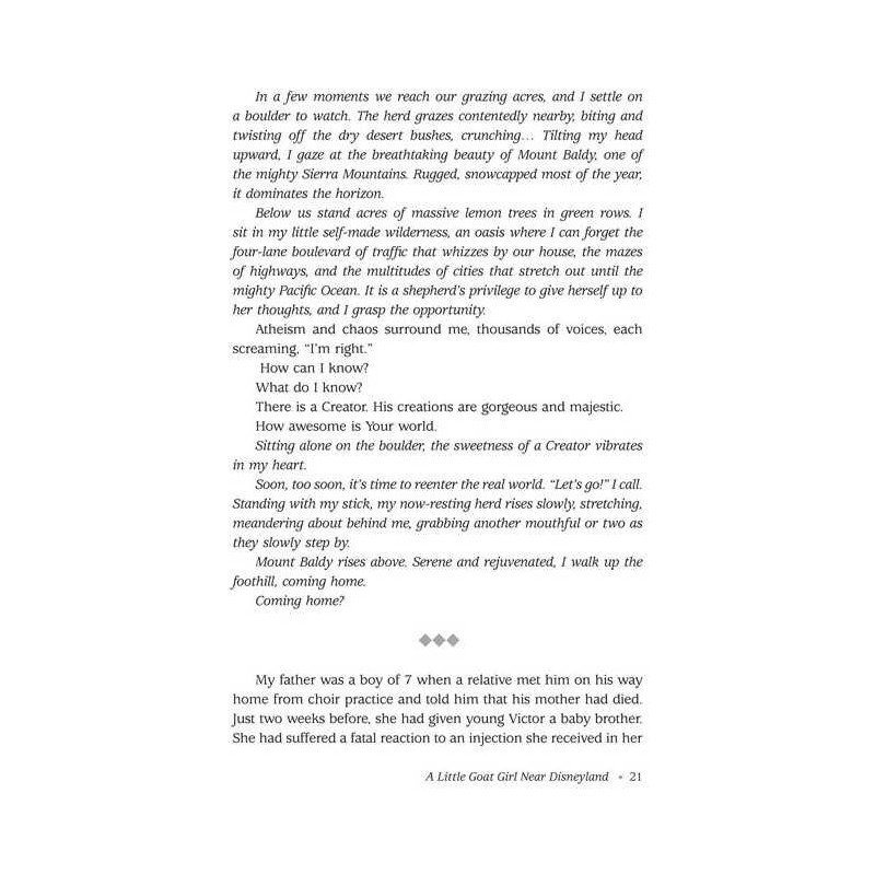 The Mountain Family - Hardcover | Books | Judaica