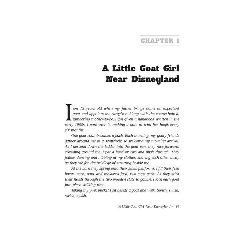 The Mountain Family - Hardcover | Books | Judaica