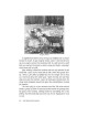 The Mountain Family - Hardcover | Books | Judaica