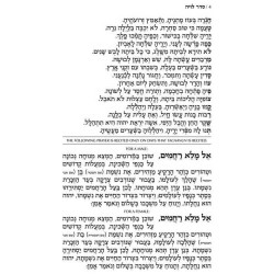 The Funeral and Cemetery Handbook - Paperback | Books | Judaica