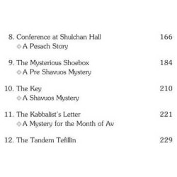 The Mysterious Shoebox and Other Leah Lamdan Holid | Books | Judaica