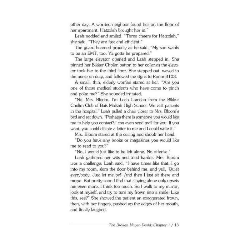 The Mysterious Shoebox and Other Leah Lamdan Holid | Books | Judaica