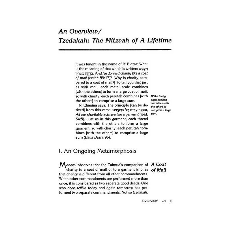 The Tzedakah Treasury - Hardcover | Books | Judaica