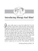 The Stupendous Adventures of Shragi & Shia - Paper | Books | Judaica