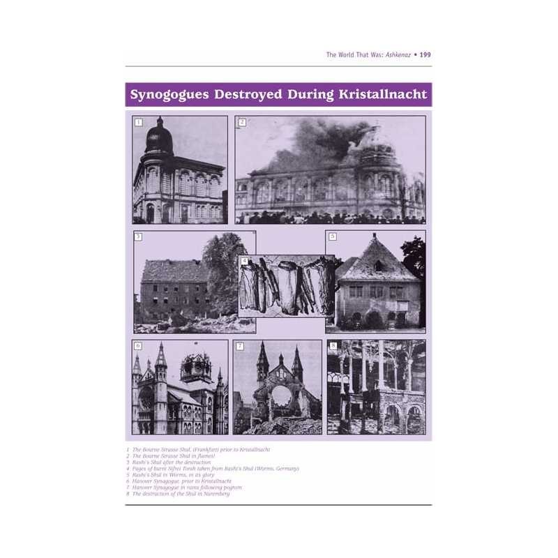 The World That Was: Ashkenaz - The Legacy of Germa | Books | Judaica