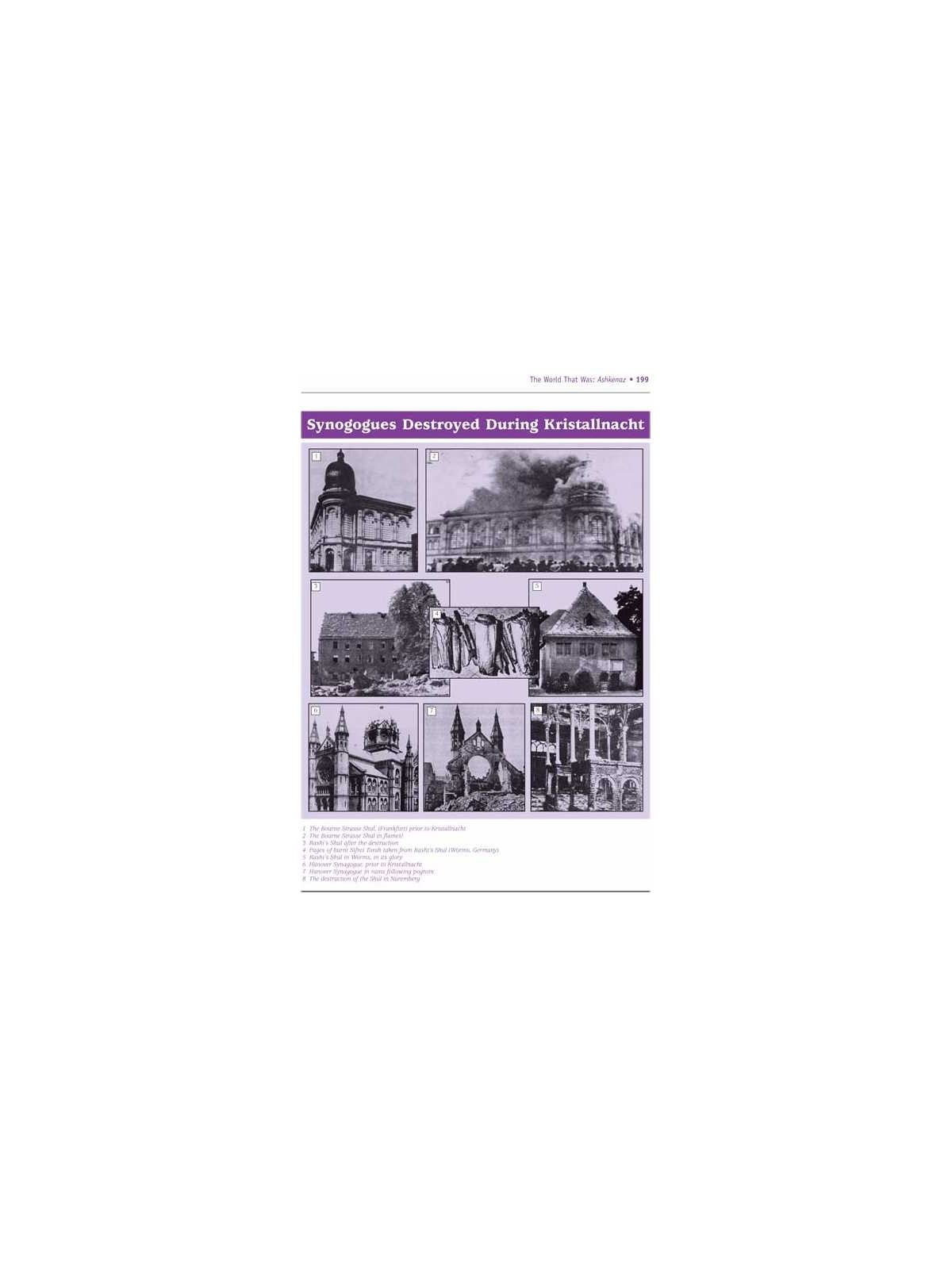 The World That Was: Ashkenaz - The Legacy of Germa | Books | Judaica