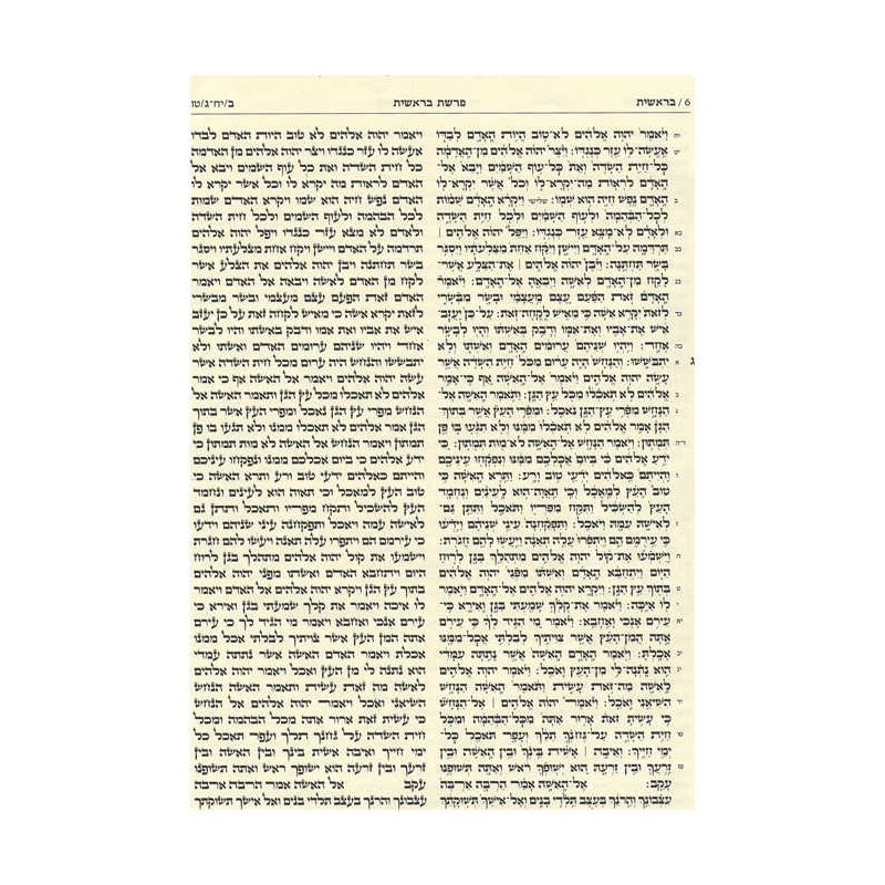 Kestenbaum Edition Tikkun Deluxe Gift Edition | Books | Judaica