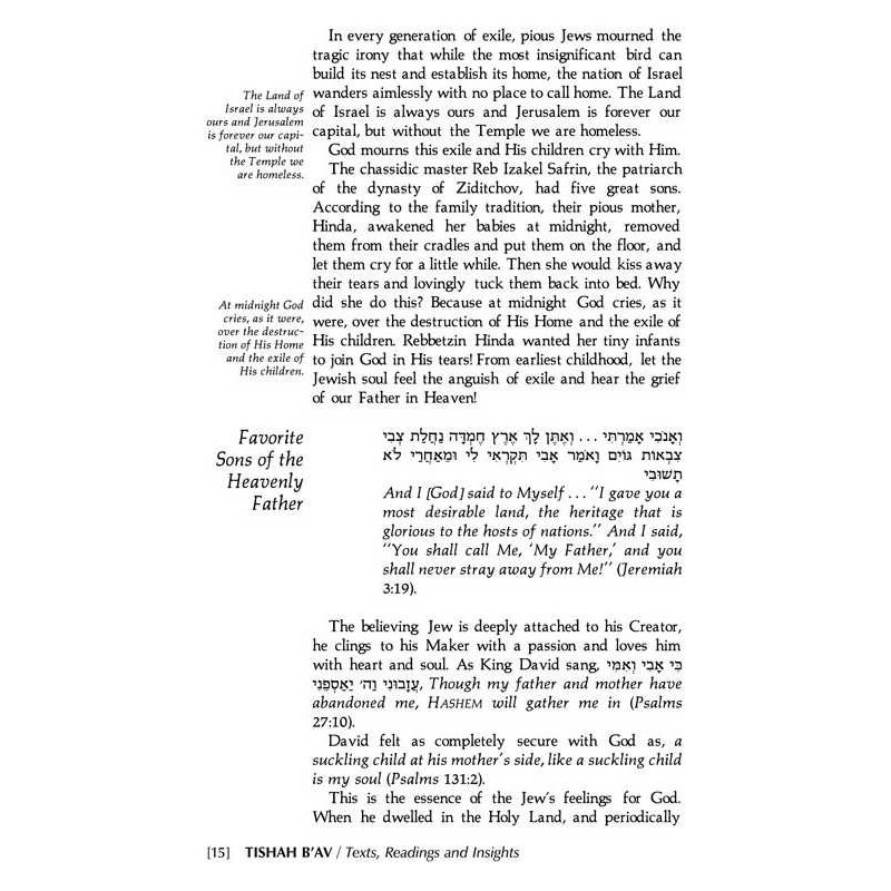 Tishah B'av: Texts, Readings, And Insights - Hardc | Books | Judaica