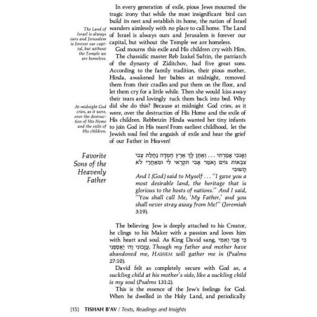 Tishah B'av: Texts, Readings, And Insights - Hardc | Books | Judaica