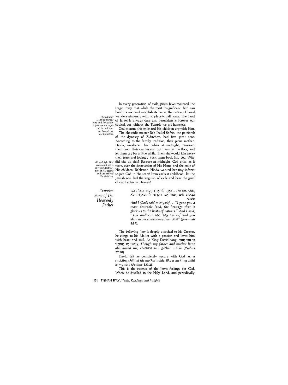 Tishah B'av: Texts, Readings, And Insights - Hardc | Books | Judaica