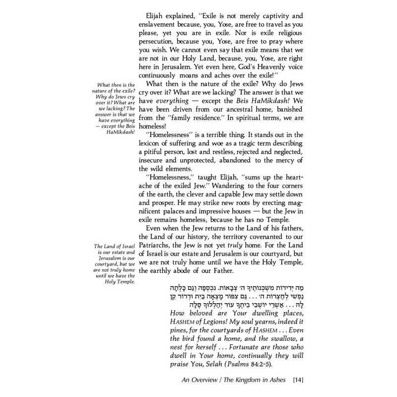 Tishah B'av: Texts, Readings, And Insights - Hardc | Books | Judaica