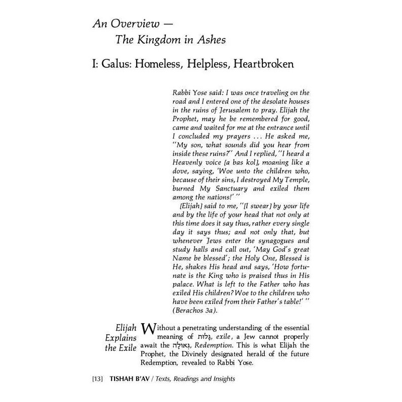 Tishah B'av: Texts, Readings, And Insights - Hardc | Books | Judaica