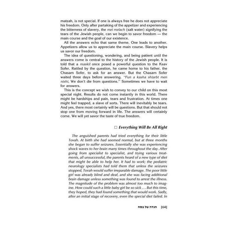 TOUCHED BY THE SEDER (H/C) | Passover | Judaica