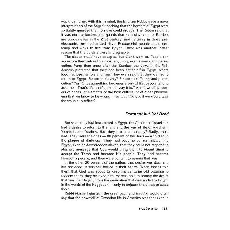 TOUCHED BY THE SEDER (H/C) | Passover | Judaica