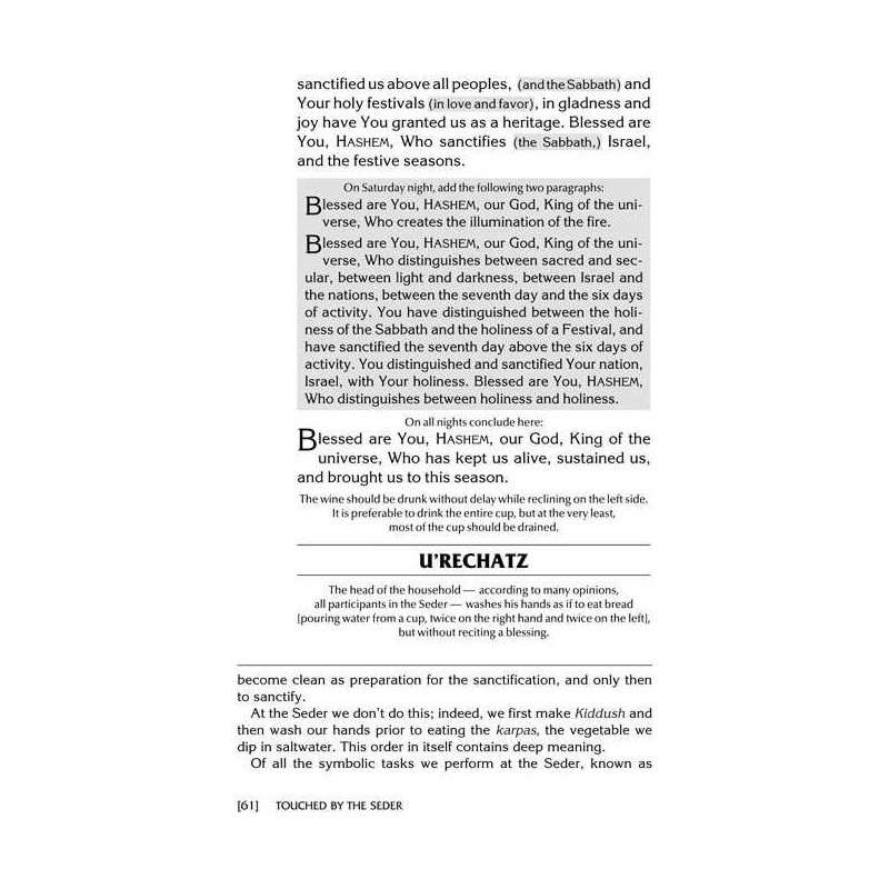 TOUCHED BY THE SEDER (H/C) | Passover | Judaica