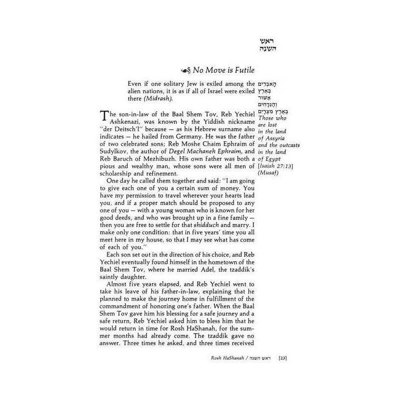 A Treasury Of Chassidic Tales - Festivals - Hardco | Books | Judaica