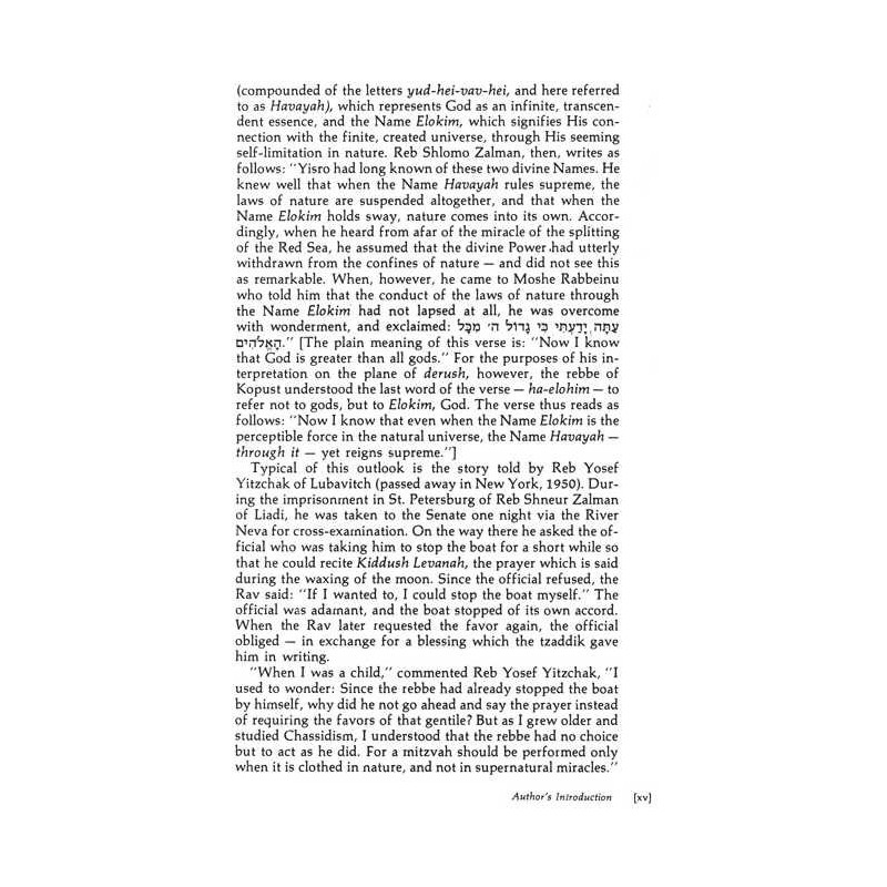 A Treasury Of Chassidic Tales - Festivals - Hardco | Books | Judaica