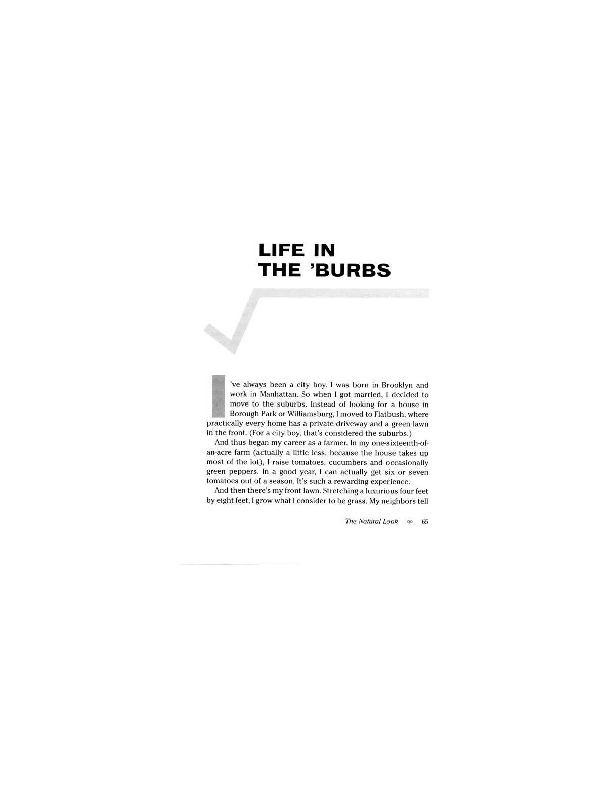 The Jewish Theory of Everything - Hardcover | Books | Judaica