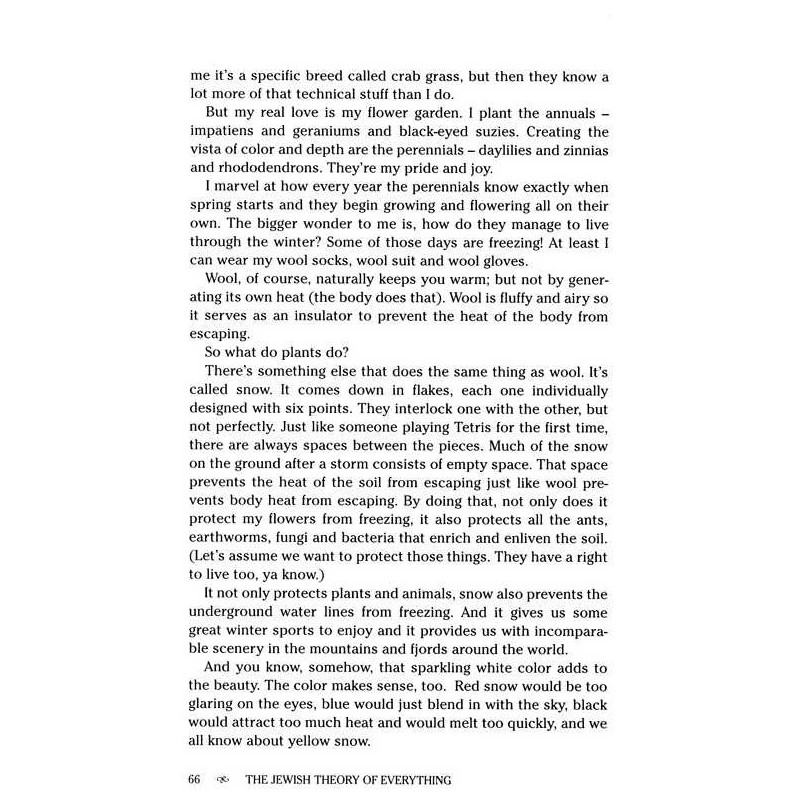 The Jewish Theory of Everything - Hardcover | Books | Judaica